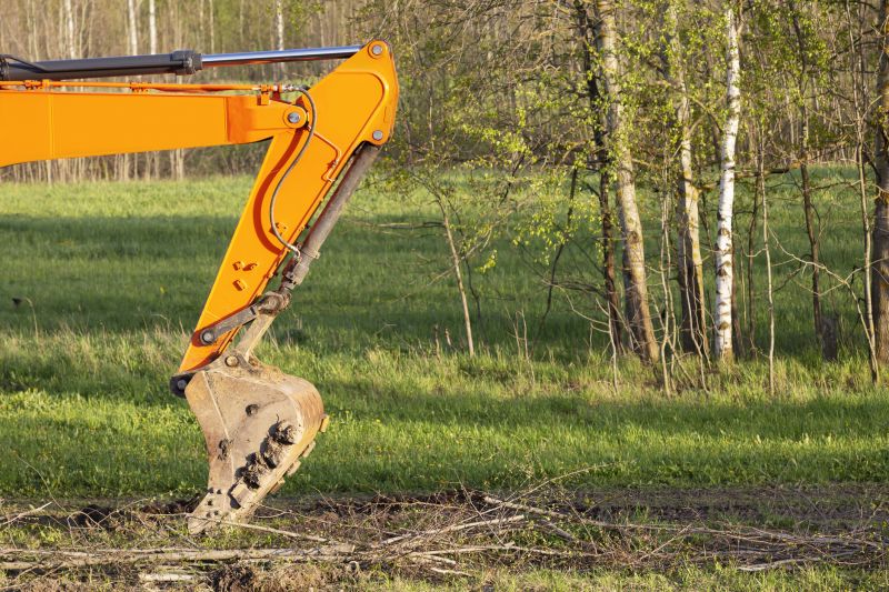 Land Clearing Service