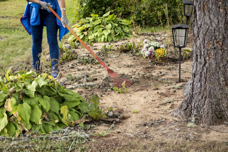 Safe and Efficient Clearing