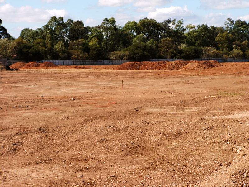 Cleared Land After Completion